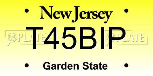 T45BIP New Jersey License Plate