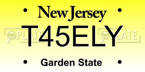 T45ELY New Jersey License Plate