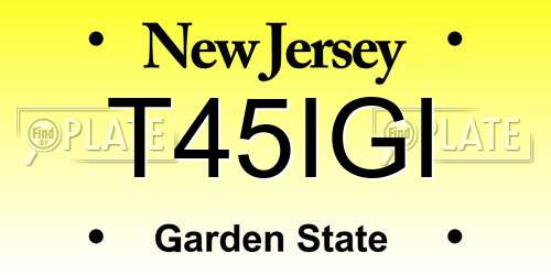 T45IGI New Jersey License Plate