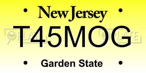 T45MOG New Jersey License Plate