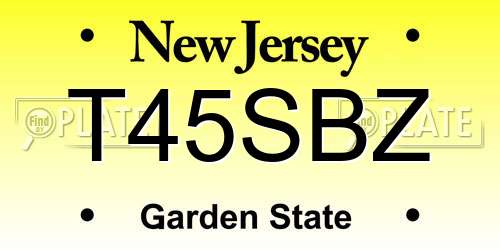 T45SBZ New Jersey License Plate