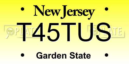 T45TUS New Jersey License Plate