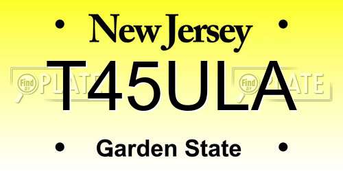 T45ULA New Jersey License Plate