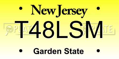 T48LSM New Jersey License Plate