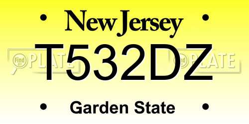 T532DZ New Jersey License Plate