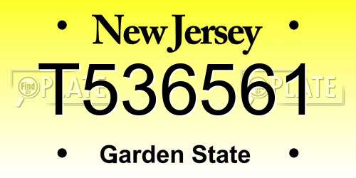 T536561 New Jersey License Plate