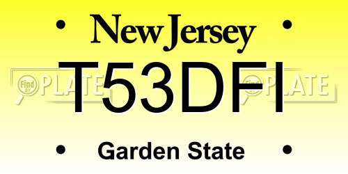 T53DFI New Jersey License Plate