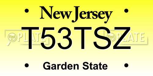 T53TSZ New Jersey License Plate