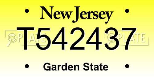 T542437 New Jersey License Plate