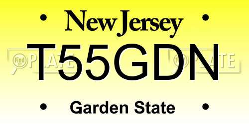 T55GDN New Jersey License Plate