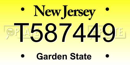 T587449 New Jersey License Plate