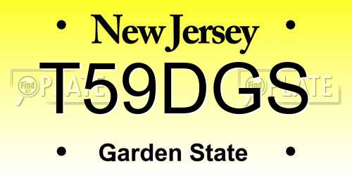 T59DGS New Jersey License Plate