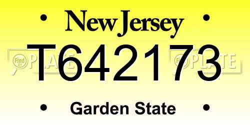 T642173 New Jersey License Plate