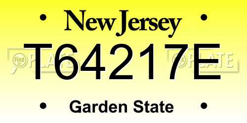 T64217E New Jersey License Plate