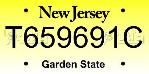 T659691C New Jersey License Plate