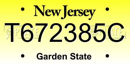 T672385C New Jersey License Plate
