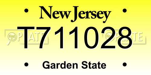 T711028 New Jersey License Plate