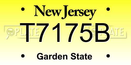 T7175B New Jersey License Plate