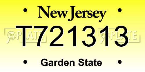 T721313 New Jersey License Plate