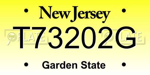T73202G New Jersey License Plate