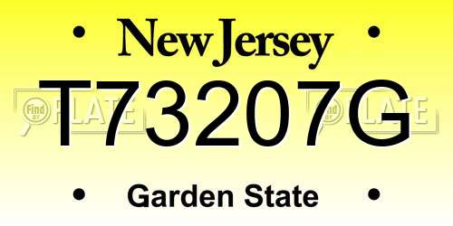 T73207G New Jersey License Plate