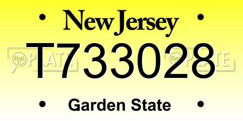 T733028 New Jersey License Plate