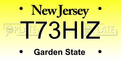 T73HIZ New Jersey License Plate