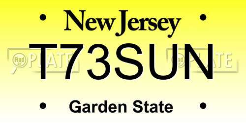 T73SUN New Jersey License Plate