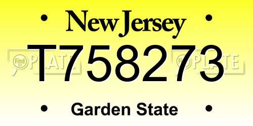 T758273 New Jersey License Plate