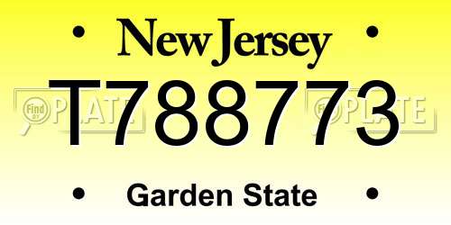 T788773 New Jersey License Plate