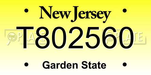 T802560 New Jersey License Plate