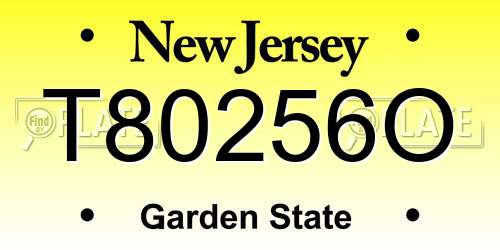 T80256O New Jersey License Plate