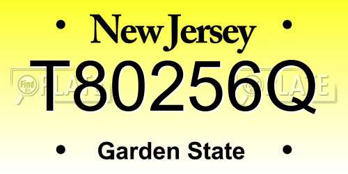 T80256Q New Jersey License Plate