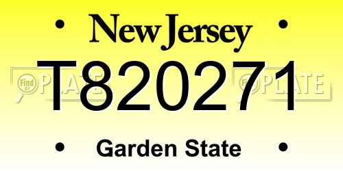 T820271 New Jersey License Plate