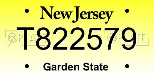 T822579 New Jersey License Plate