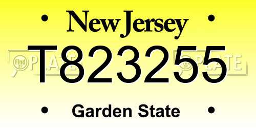 T823255 New Jersey License Plate
