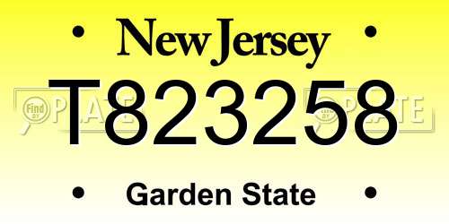T823258 New Jersey License Plate