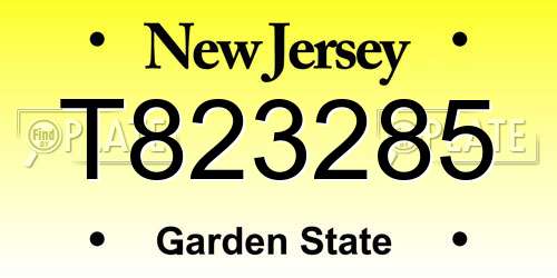 T823285 New Jersey License Plate