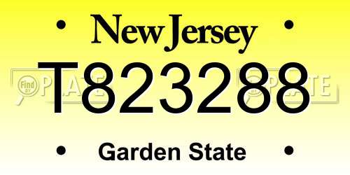 T823288 New Jersey License Plate