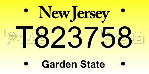 T823758 New Jersey License Plate