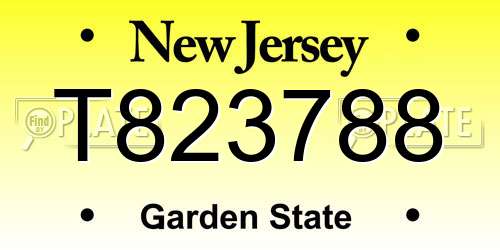 T823788 New Jersey License Plate
