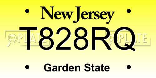 T828RQ New Jersey License Plate