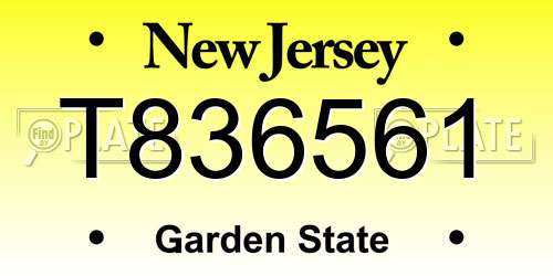 T836561 New Jersey License Plate