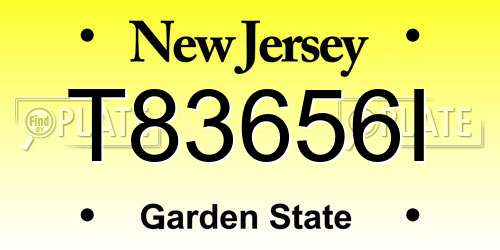 T83656I New Jersey License Plate
