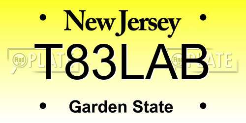 T83LAB New Jersey License Plate
