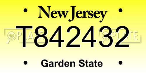 T842432 New Jersey License Plate