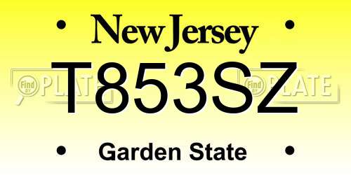 T853SZ New Jersey License Plate