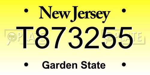 T873255 New Jersey License Plate