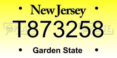 T873258 New Jersey License Plate