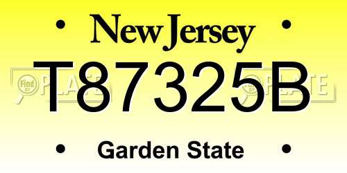 T87325B New Jersey License Plate